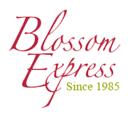 Blossom Express